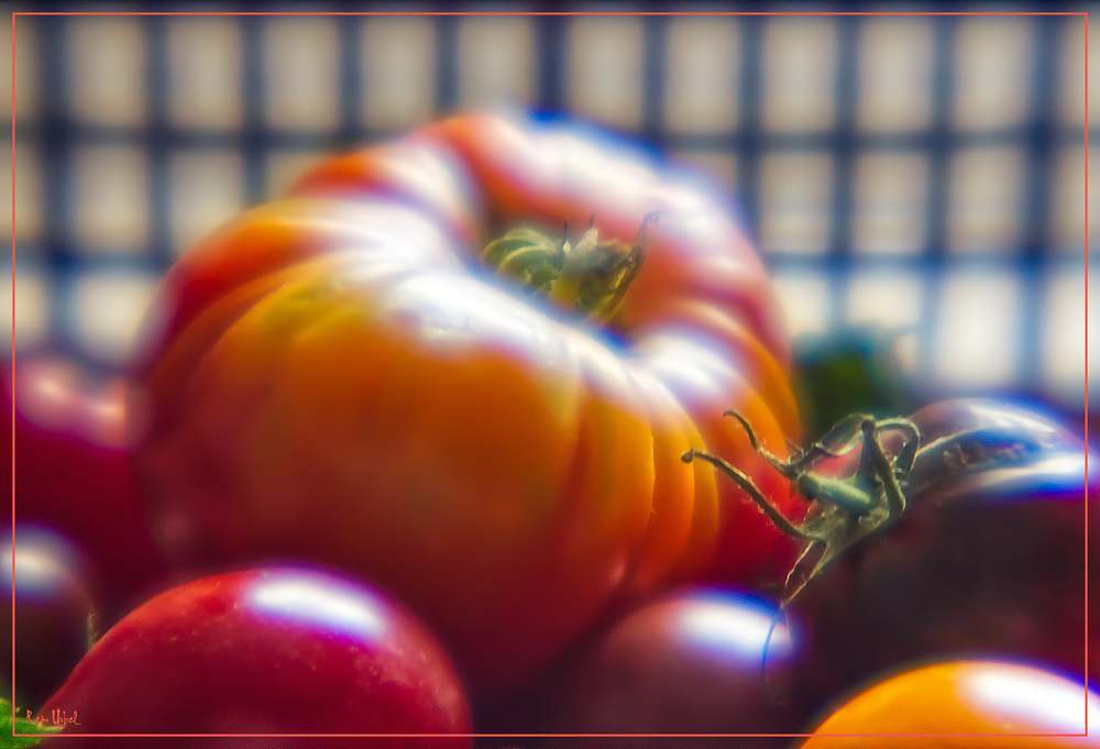 29-Suur tomat.jpg