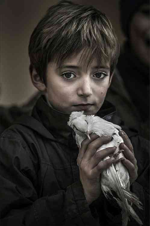 Andrey Ustinovich - Boy with a dove.jpg
