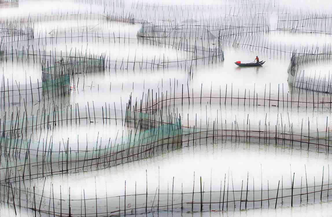 Chun Yip Chau - In the Fishing Pond.jpg