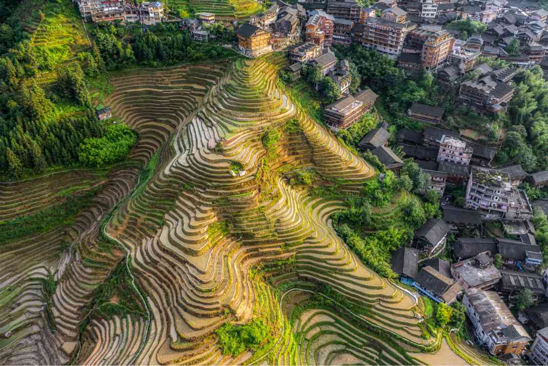 Dmitry Arkhipov - Guilin Rice Terraces-3.jpg